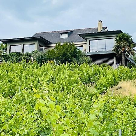 Maison Des Coteaux Blancs Chaudefonds-sur-Layon Εξωτερικό φωτογραφία
