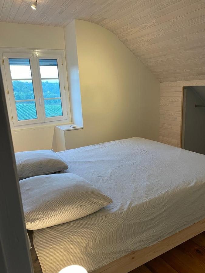 Maison Des Coteaux Blancs Chaudefonds-sur-Layon Εξωτερικό φωτογραφία