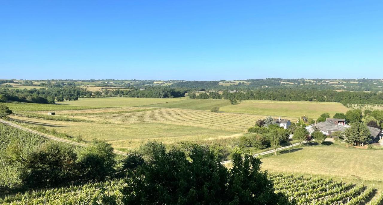 Maison Des Coteaux Blancs Chaudefonds-sur-Layon Εξωτερικό φωτογραφία