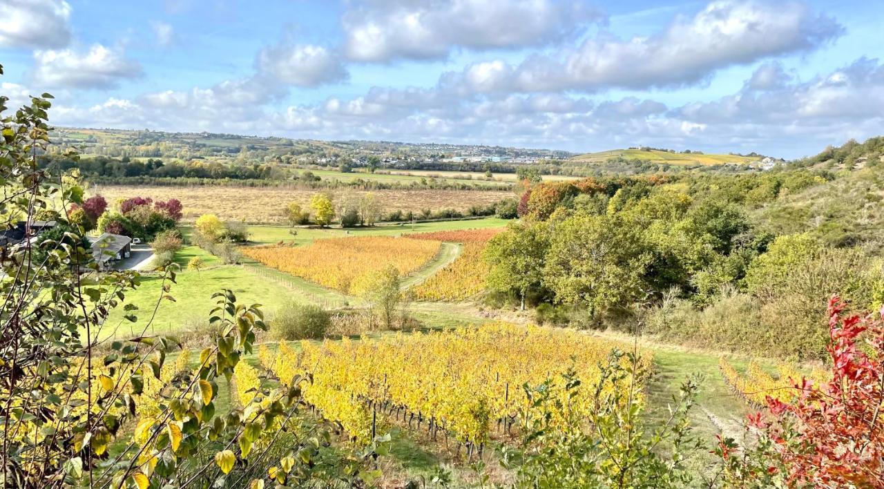 Maison Des Coteaux Blancs Chaudefonds-sur-Layon Εξωτερικό φωτογραφία