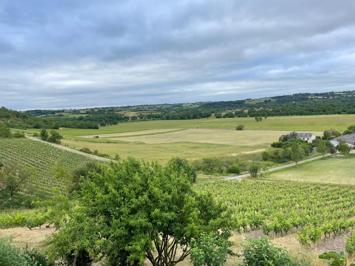 Maison Des Coteaux Blancs Chaudefonds-sur-Layon Εξωτερικό φωτογραφία