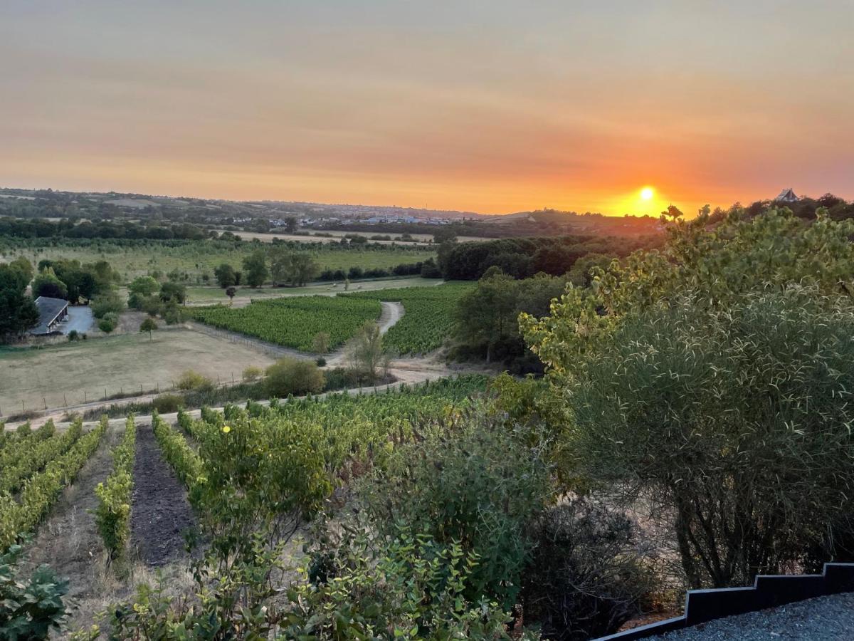 Maison Des Coteaux Blancs Chaudefonds-sur-Layon Εξωτερικό φωτογραφία