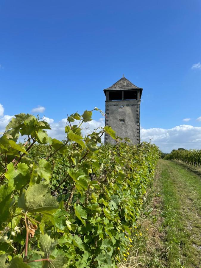 Maison Des Coteaux Blancs Chaudefonds-sur-Layon Εξωτερικό φωτογραφία